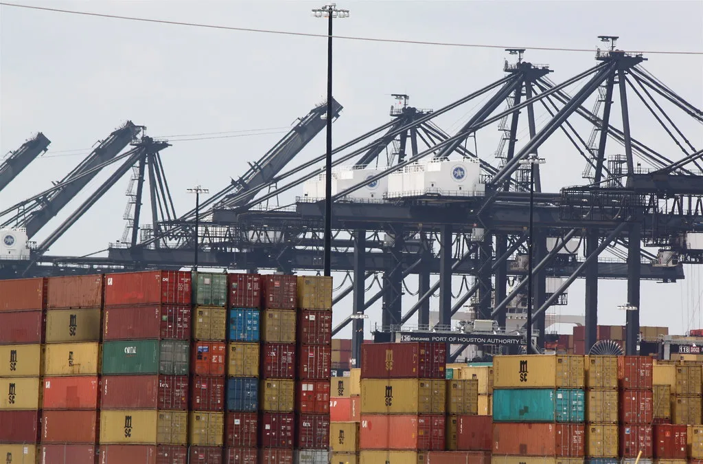 Shipping containers stacked beneath gantry cranes